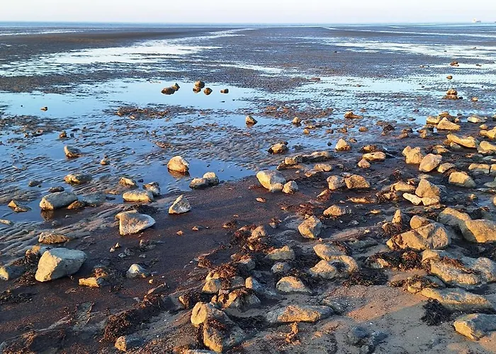 Strandmuschel 度假居 奥滕多夫